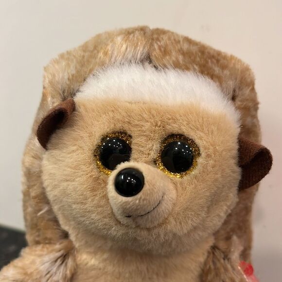 TY Beanie Baby 6" IDA Hedgehog Plush Stuffed Animal MWMT & Heart Protector MINT - Picture 2 of 11